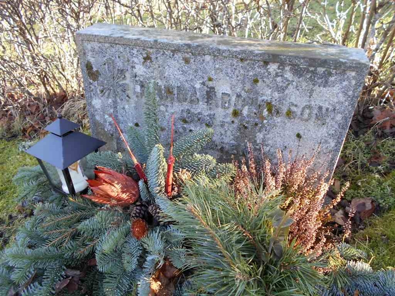 Grave number: ÖD 005    79
