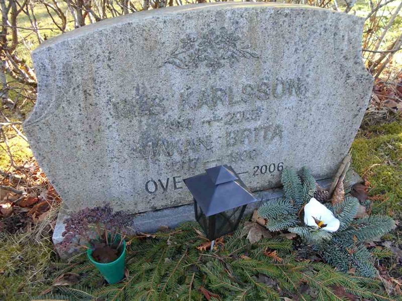 Grave number: ÖD 005     6