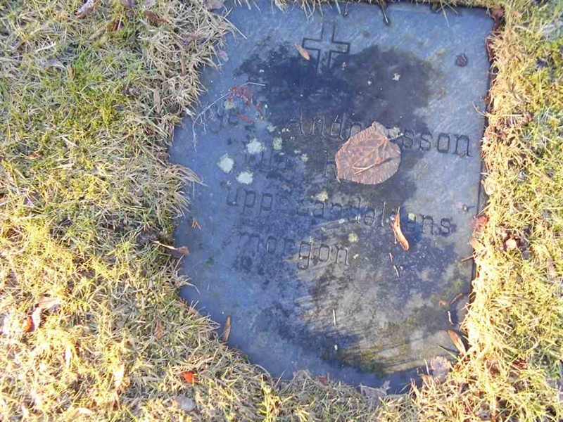 Grave number: ÖD 005    31