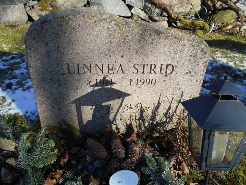 Grave number: FÄ 030    10