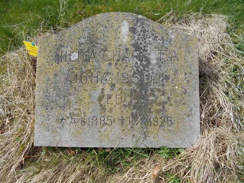 Grave number: FÄ 020   228