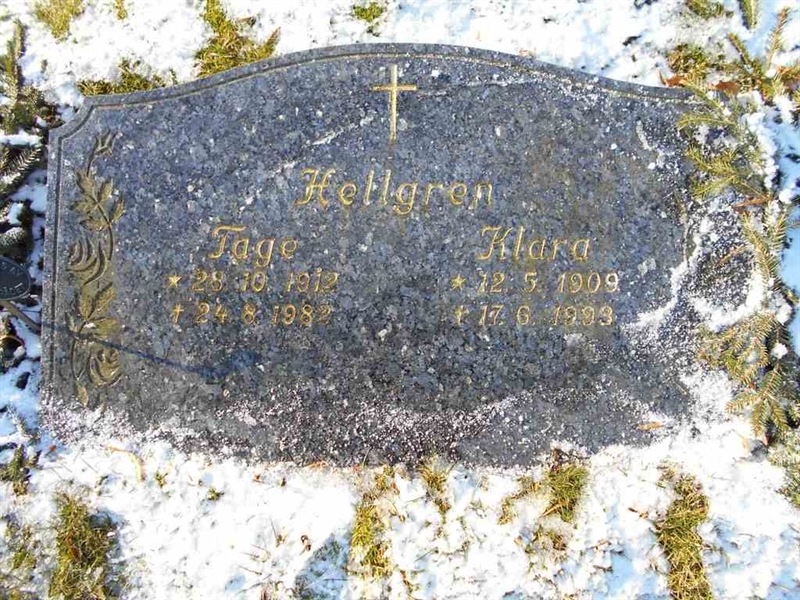 Grave number: FÄ 021   195-196