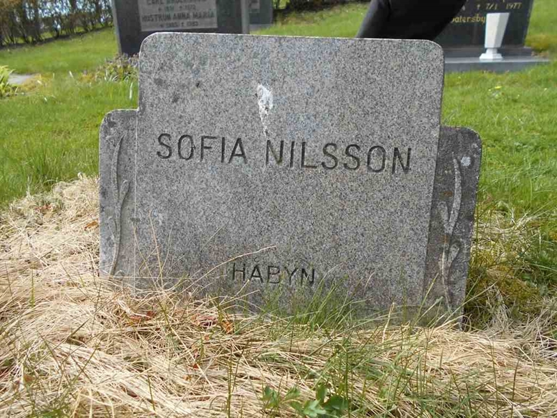 Grave number: FÄ 020   100