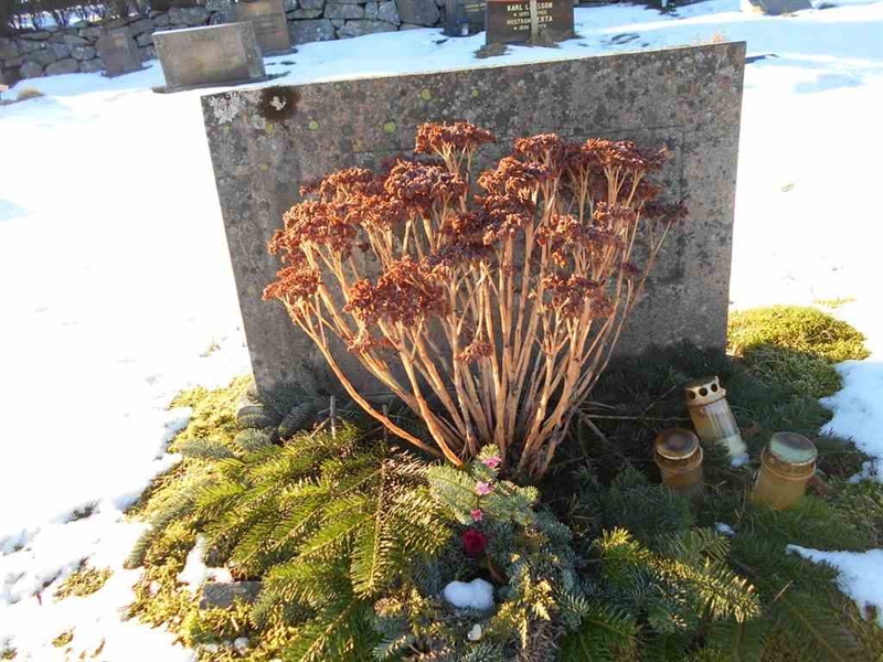 Grave number: FÄ 026    91-92