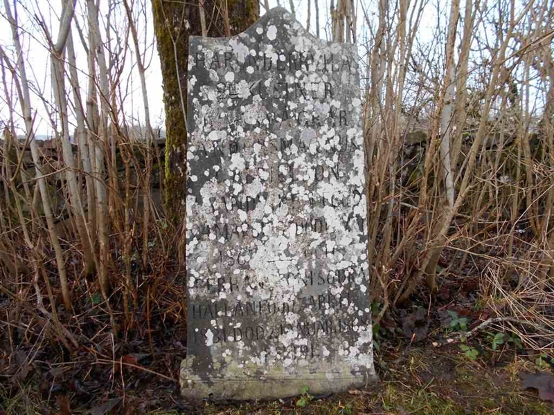 Grave number: FÄ 002    40