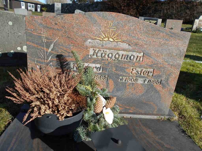 Grave number: FÄ 031    61