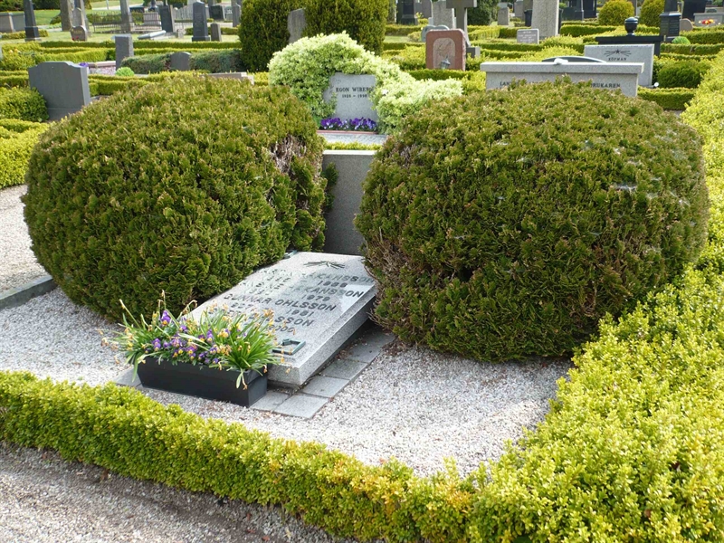 Grave number: 1 9    69