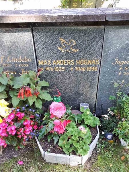 Hautatunnus: GK U 4   292