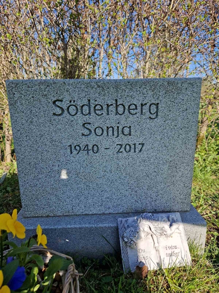 Grave number: 501 13 1961