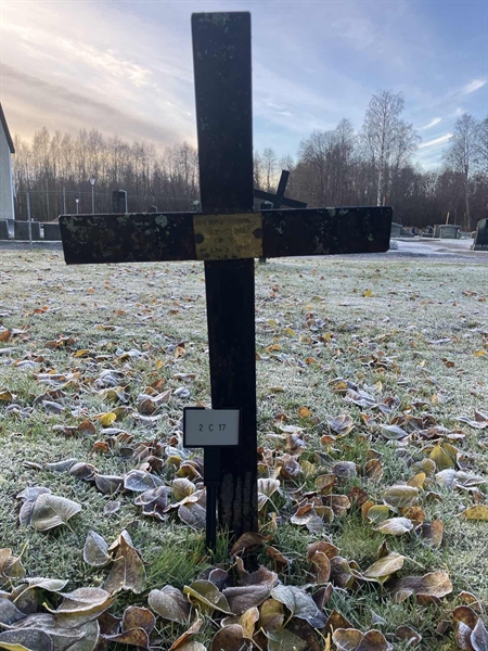 Hautatunnus: 2 C    17