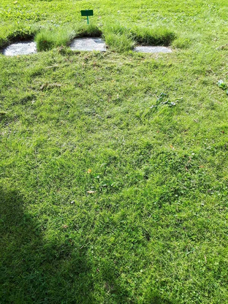 Gravnummer: NK A A   186