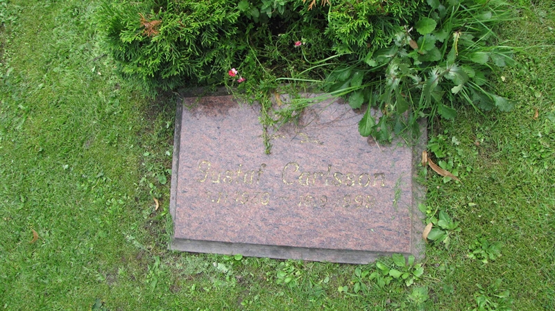Grave number: HN KASTA    44