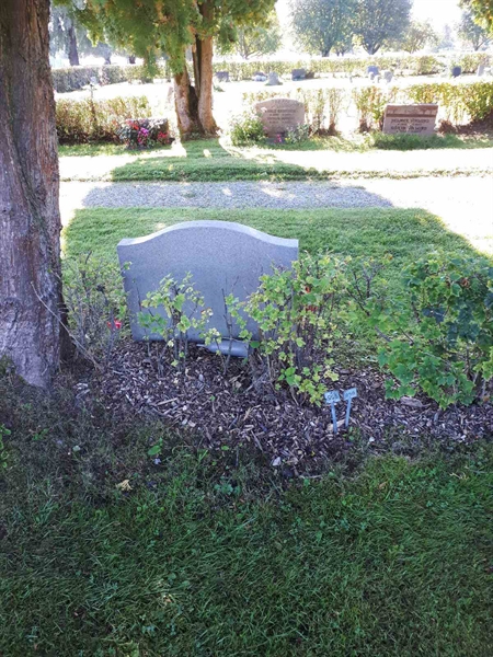 Hautatunnus: NK F B   955-956