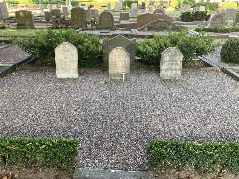 Grave number: Ö 17y    46, 47, 48