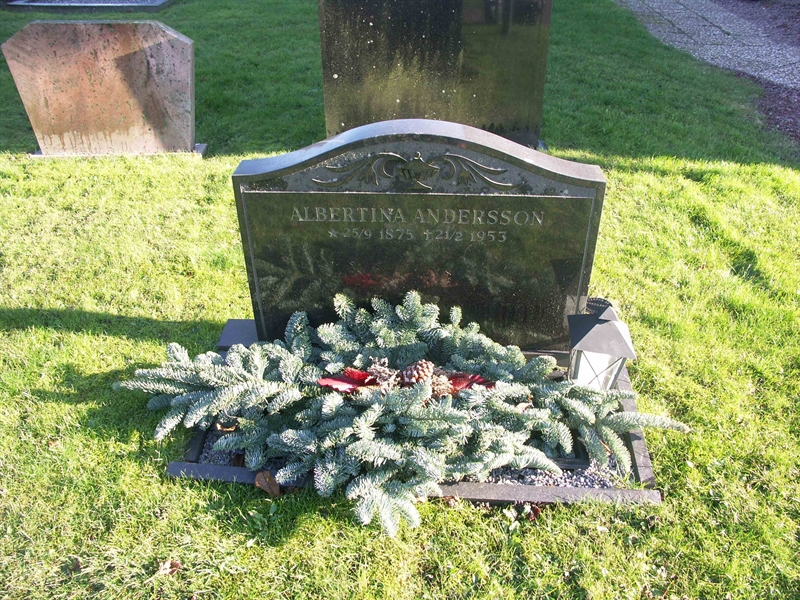 Grave number: FÖ FÖ 1029