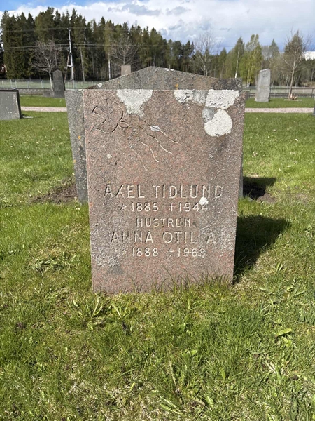 Hautatunnus: H 031 015-15