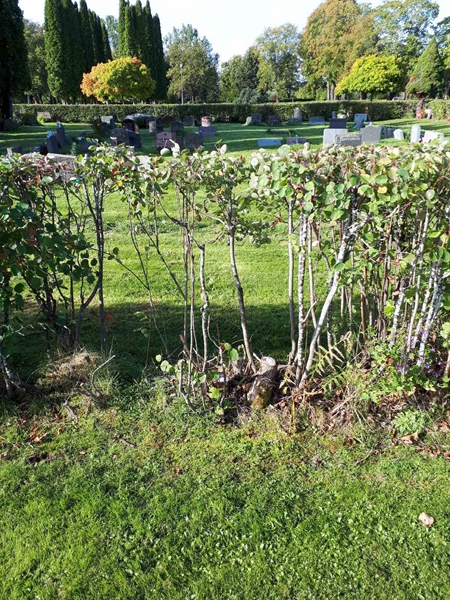 Gravnummer: NK F B   191A