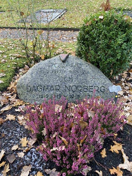 Hautatunnus: 1 B    41