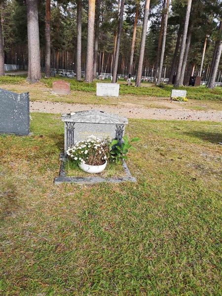 Hautatunnus: VLM 08    17:1-4