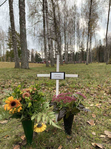 Grave number: 1 28     52