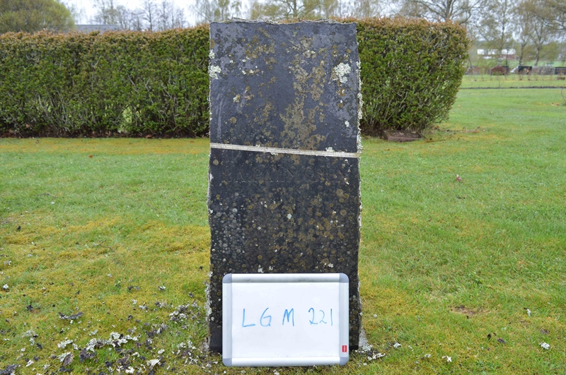 Grave number: LG M   221