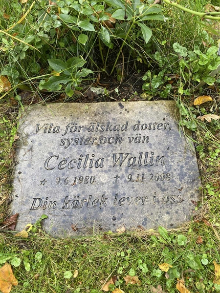 Hautatunnus: 1 H    70