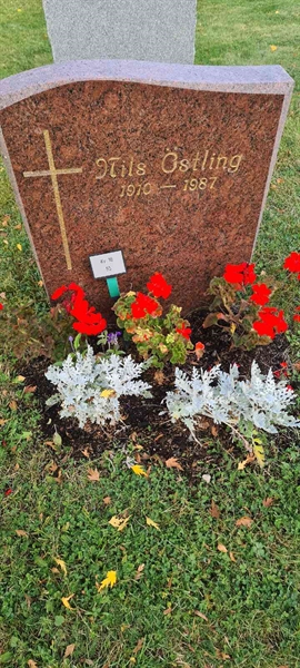 Grave number: M 16   55