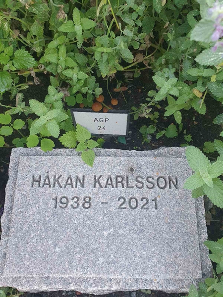 Grave number: KG B   858, 859