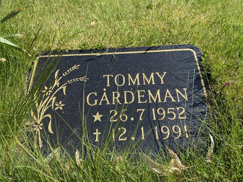 Grave number: 1 04 353, 354