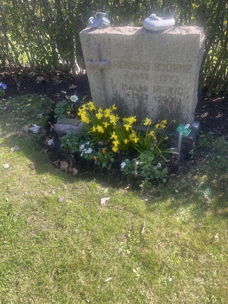 Grave number: 1 3 F1 221