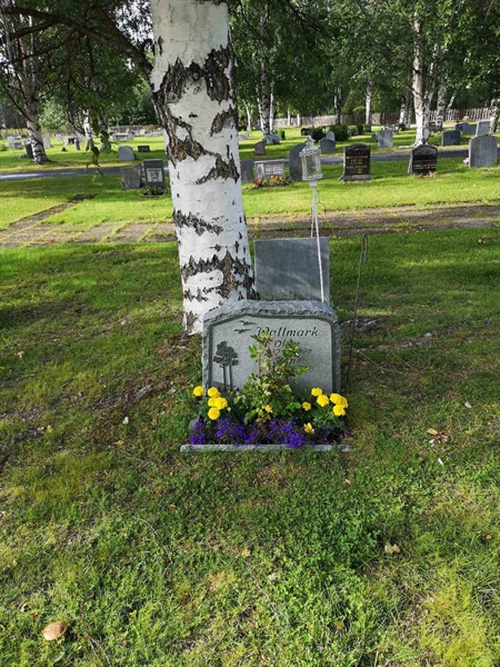 Hautatunnus: NK 17    50