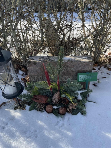 Gravnummer: SJ G    68