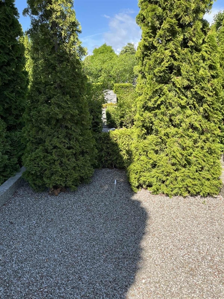 Grave number: NK III   135d