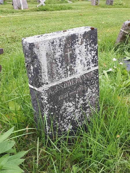 Hautatunnus: GK A 4   311V