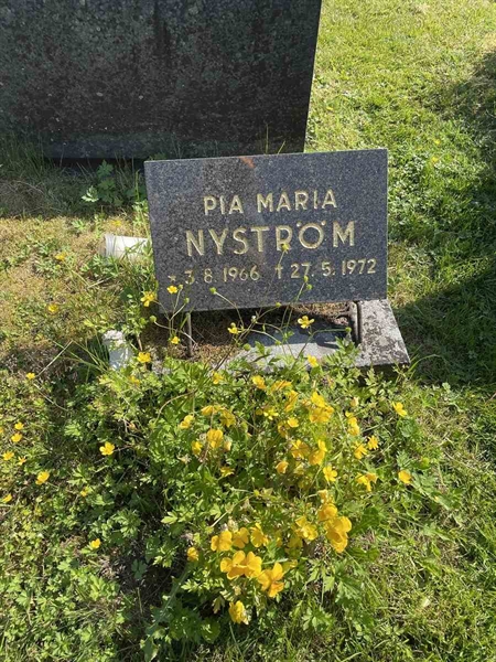 Hautatunnus: N 5 1    79