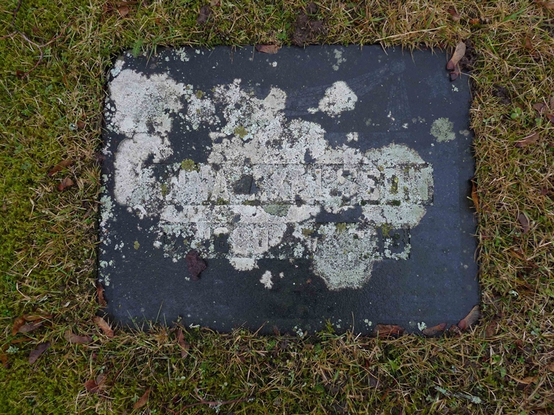 Grave number: SG 3    8