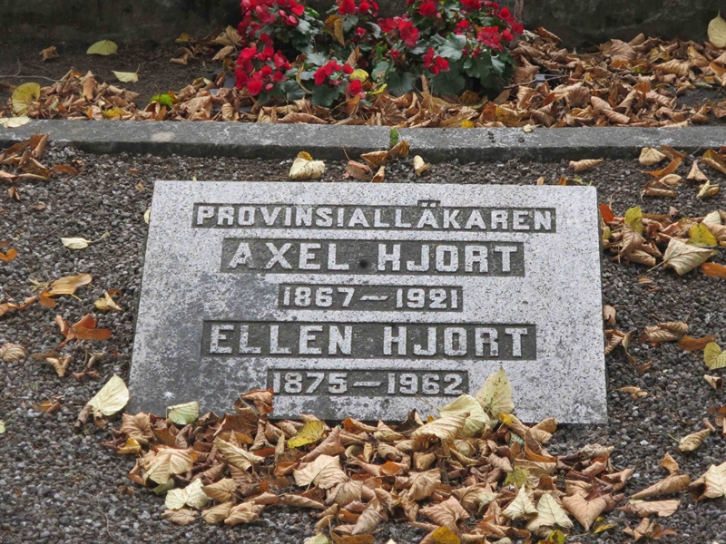 Grave number: HÖB 8   226