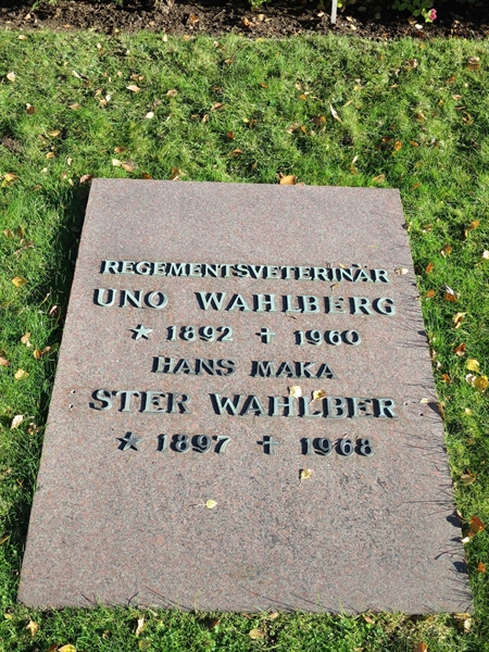 Grave number: HÖB 51     3