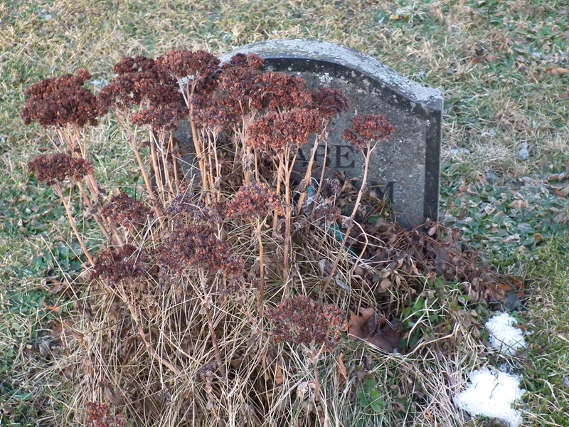Grave number: 1 B 2     8