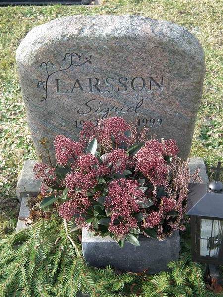 Grave number: 1 D 2    11