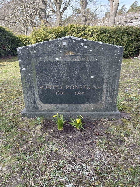 Gravnummer: LI    42