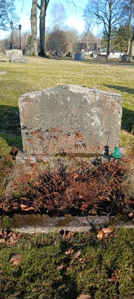 Hautatunnus: 3 Nya E   100-101