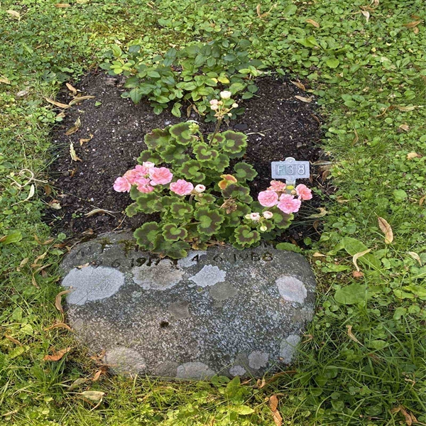 Hautatunnus: 1 F    38