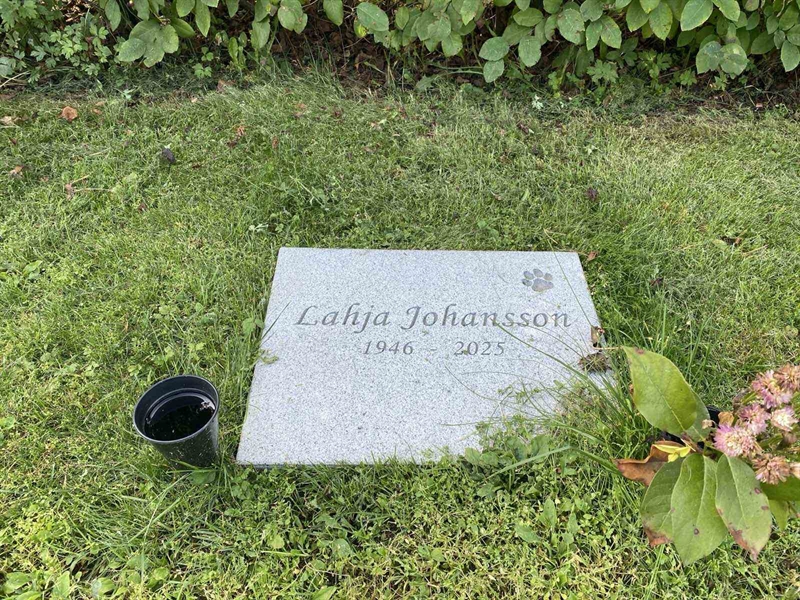 Grave number: 3 20 219