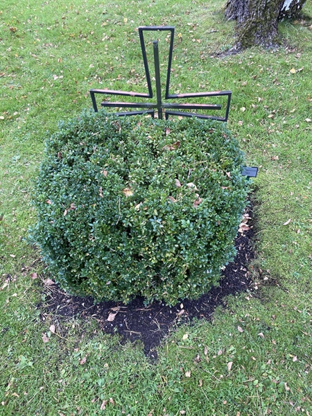 Hautatunnus: 2 C   987