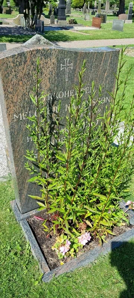 Grave number: LM 1 05  020