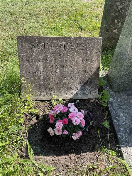 Hautatunnus: N 5 2   314-315