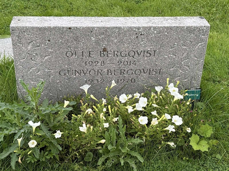 Grave number: IN 25    18