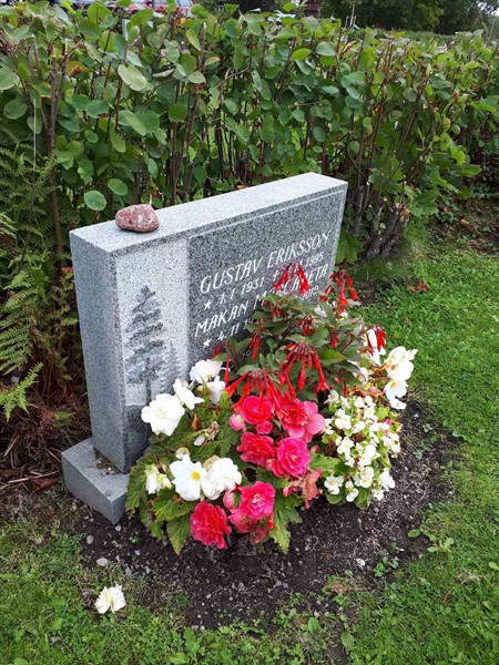 Hautatunnus: NK F B    11