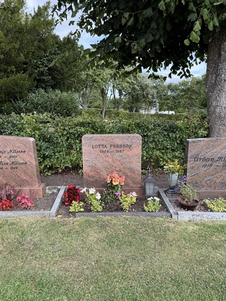 Grave number: ON C   643